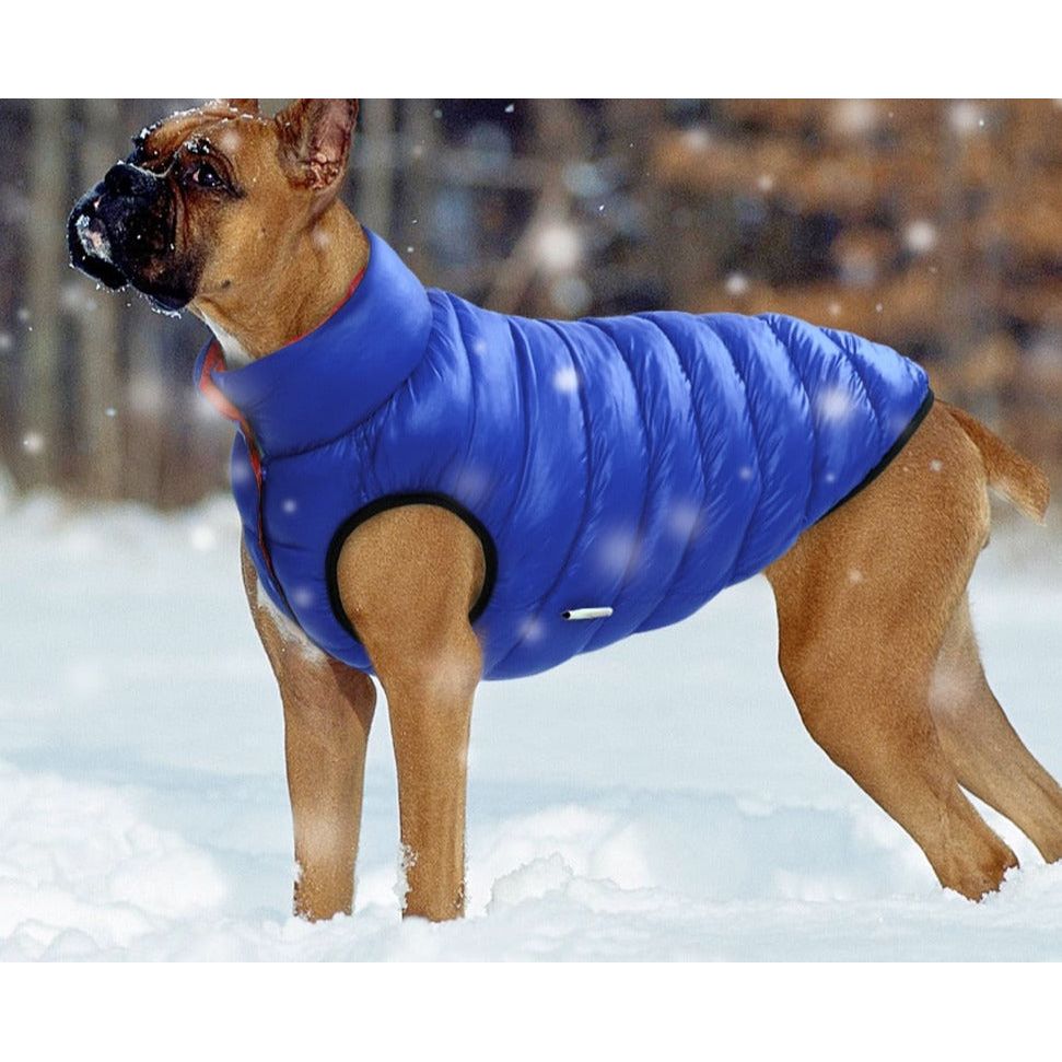 Warm Winter Vest for Dog - Sunny Sydney Australia - Famous Outdoor Gear Store