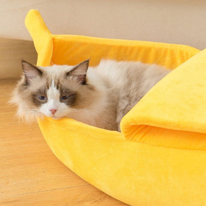 Cat Bed - Sunny Sydney Australia - Famous Outdoor Gear Store