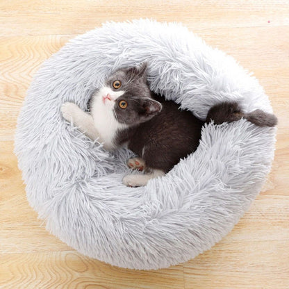 Cat and Dog bed - Sunny Sydney Australia - Famous Outdoor Gear Store