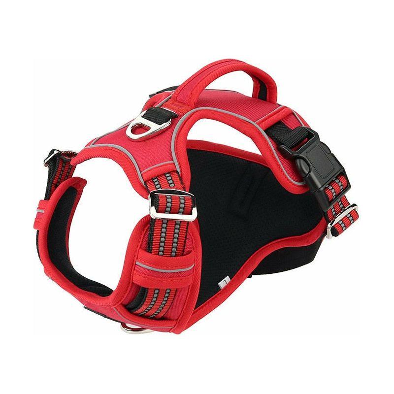 Dog Harness - Sunny Sydney Australia - Famous Outdoor Gear Store