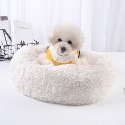 Cat and Dog bed - Sunny Sydney Australia - Famous Outdoor Gear Store