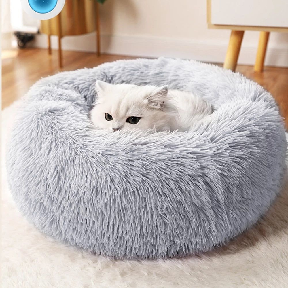 Cat and Dog bed - Sunny Sydney Australia - Famous Outdoor Gear Store